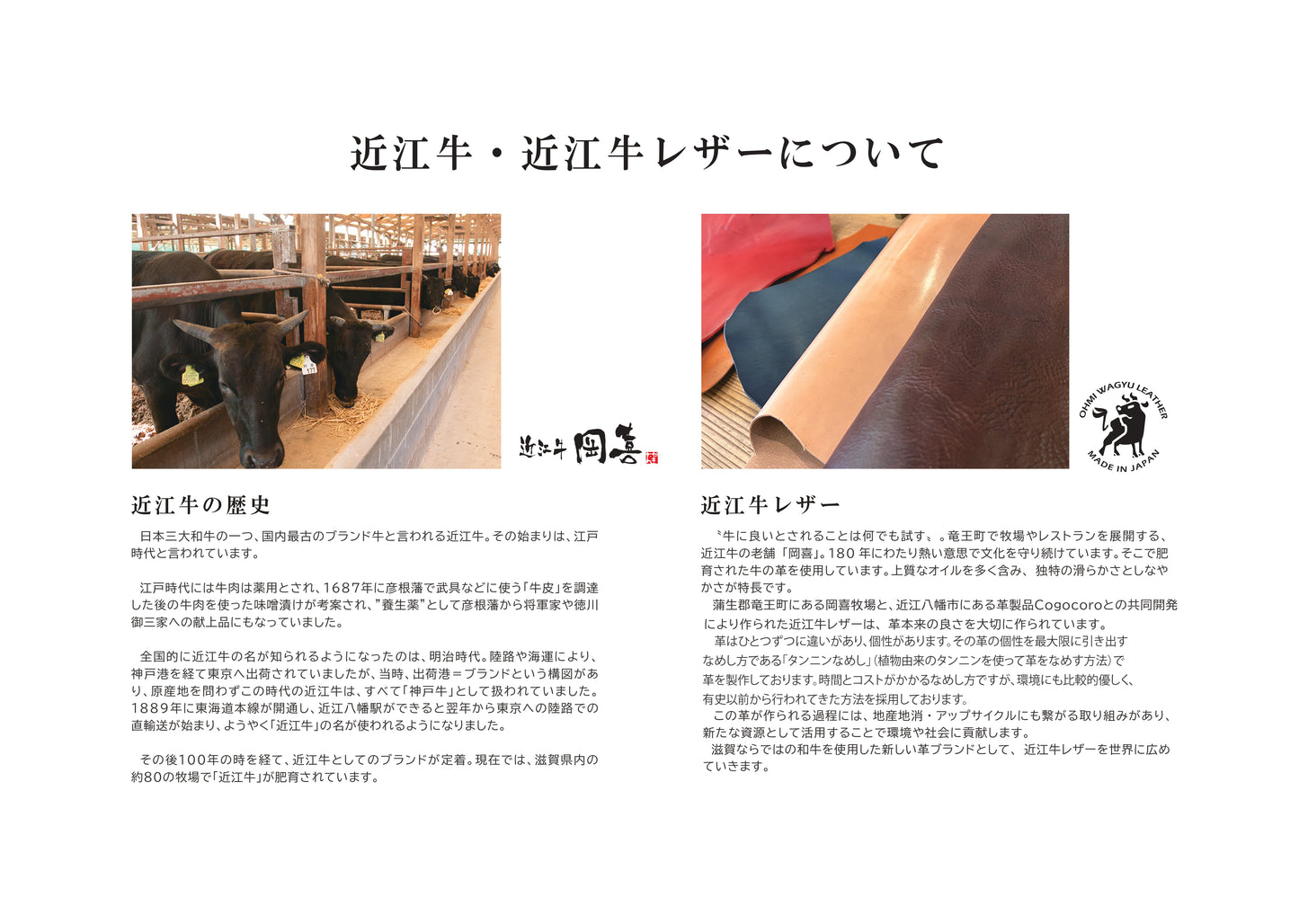 MUDITA HILL|岡喜近江牛と高島帆布で作った フラップ付きリュック【びわ湖ブルー・ブライトキャメル】