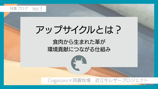 アップサイクルとは？革が環境貢献につながる仕組み【岡喜近江牛レザー特集】